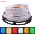 12V 5050 超高亮硅膠套管 LED 防水燈條(1米/60珠/白色)